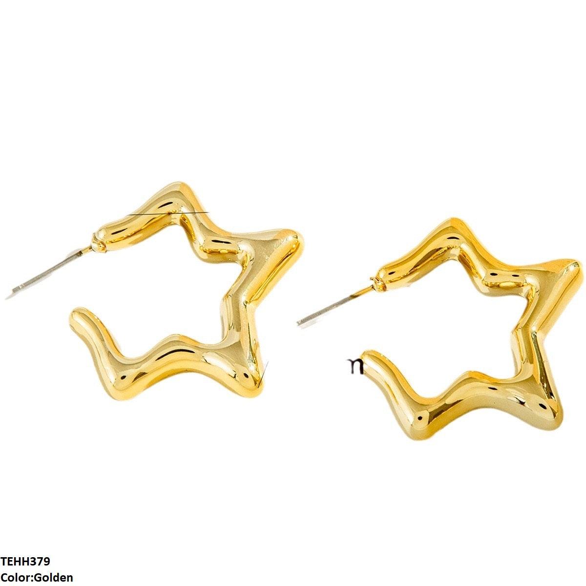 Luxury Star Ear Hoops Pair - Havenon Store